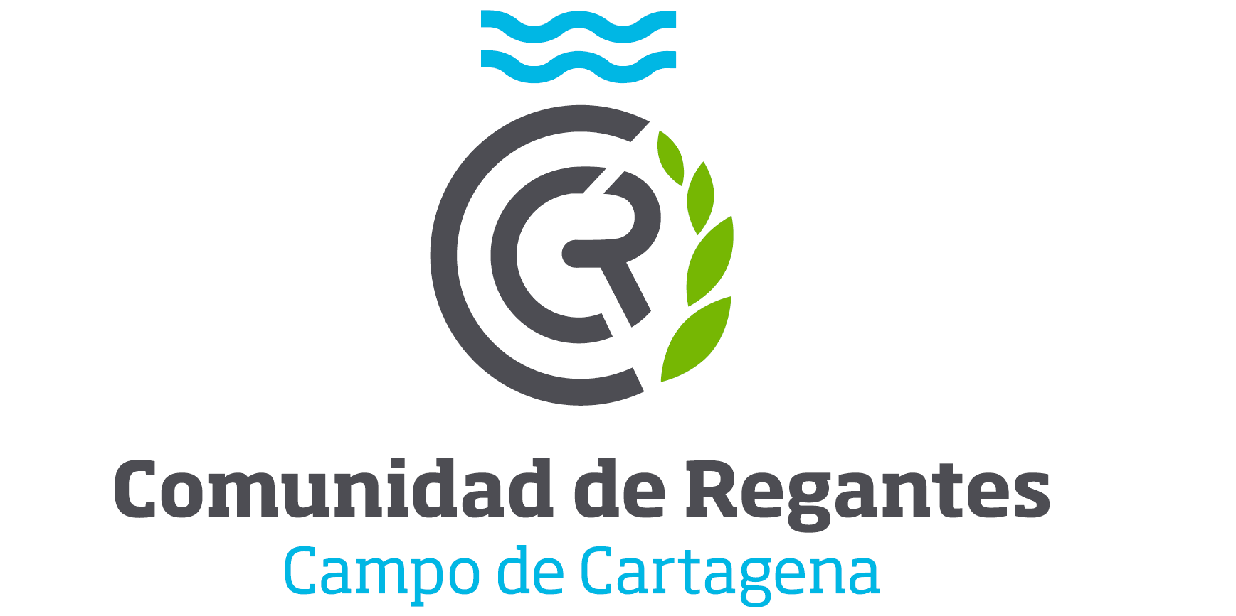 Odoo CMS - una imagen grande